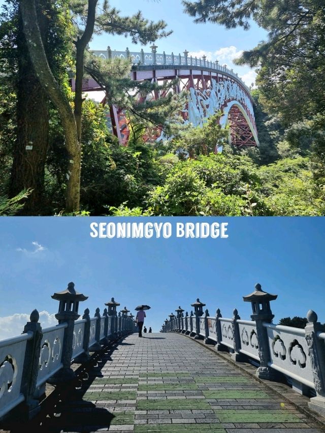 🇰🇷 Seonimgyo Bridge 📍Jeju Island