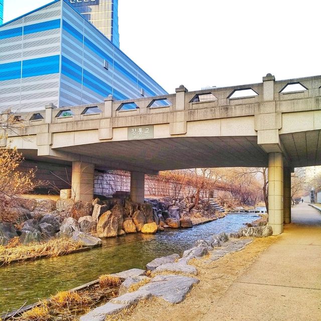 🇰🇷 The Winter Stillness of Cheonggyecheon Stream