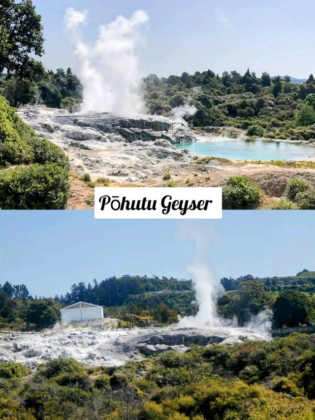 🇳🇿 The Living Māori Village 📍Roturua 