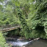 A Green Escape in the City