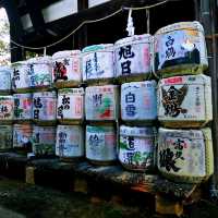 琵琶湖疏水•八幡堀•日牟禮八幡宮
