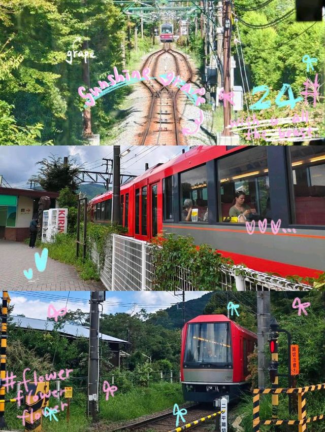  【火車】箱根的觀光靚景登山電車