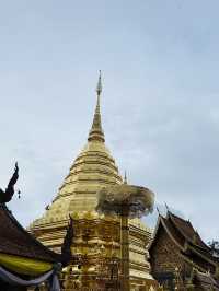 วัดพระธาตุดอยสุเทพราชวรวิหาร เชียงใหม่ 🛕