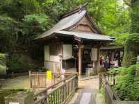 福崗必去睇(南藏院~全世界最大青銅臥佛）