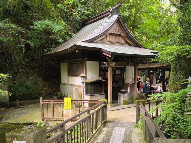 福崗必去睇(南藏院~全世界最大青銅臥佛）