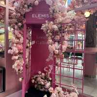 A Pink Paradise at EL&N Cafe