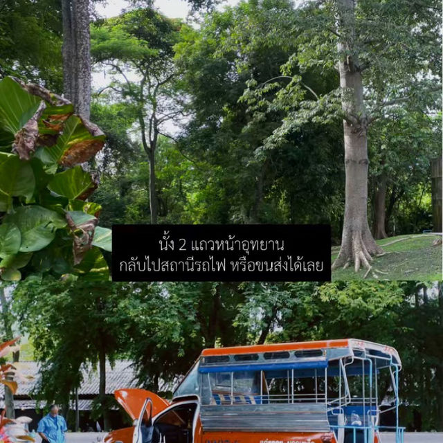 📌เที่ยวสระบุรี งบ 200 บาท คนเดียวก็เที่ยวได้