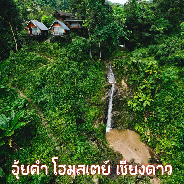 อุ้ยคำ โฮมสเตย์ เชียงดาว 