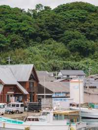 🇯🇵 福岡 絕對是貓奴的天堂景點🐈 被CNN評選為世界六大貓島——相島🐈‍⬛