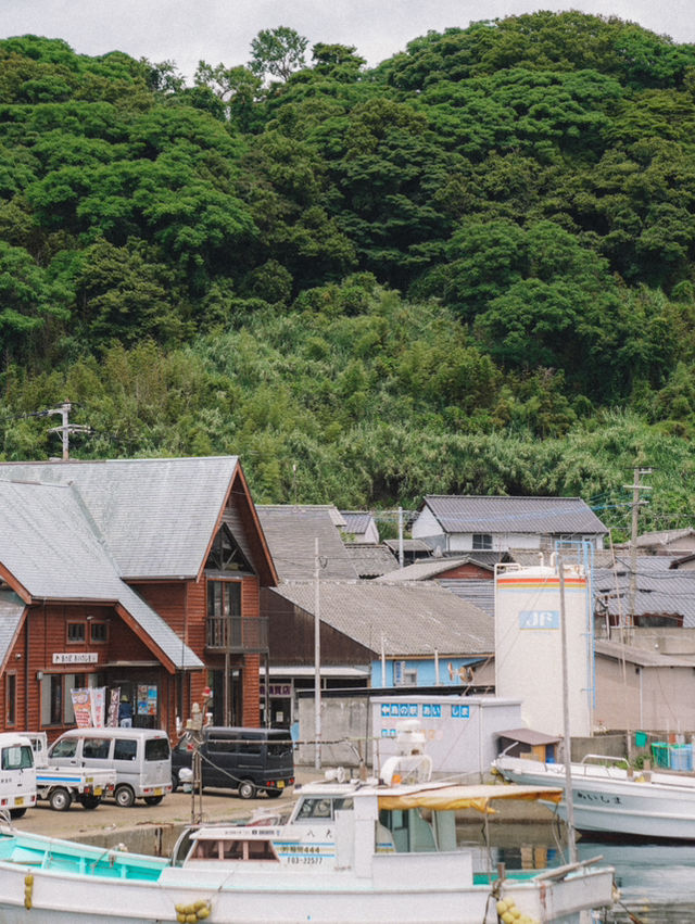 🇯🇵 福岡 絕對是貓奴的天堂景點🐈 被CNN評選為世界六大貓島——相島🐈‍⬛