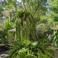 ใกล้บ้าน • In The Garden ~ คาเฟ่ในสวน