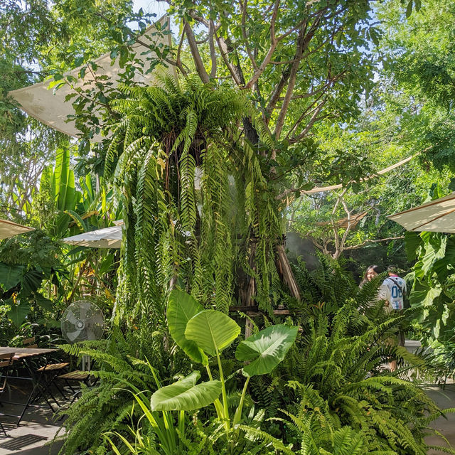 ใกล้บ้าน • In The Garden ~ คาเฟ่ในสวน