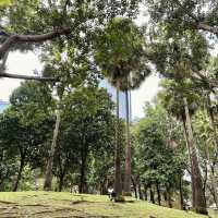 KLCC Park – A Serene Escape Amidst the City