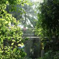 【韓国】約31000種類の植物が見られるソウル植物園🪴