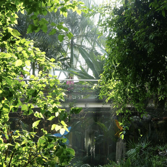 【韓国】約31000種類の植物が見られるソウル植物園🪴
