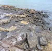 Monkey Beach หาดลิงเกาะล้าน
