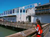 샌프란시스코 PIER39
