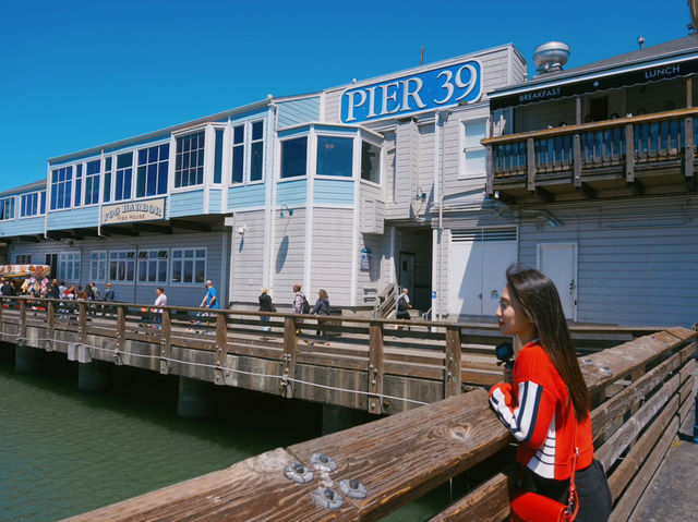 샌프란시스코 PIER39
