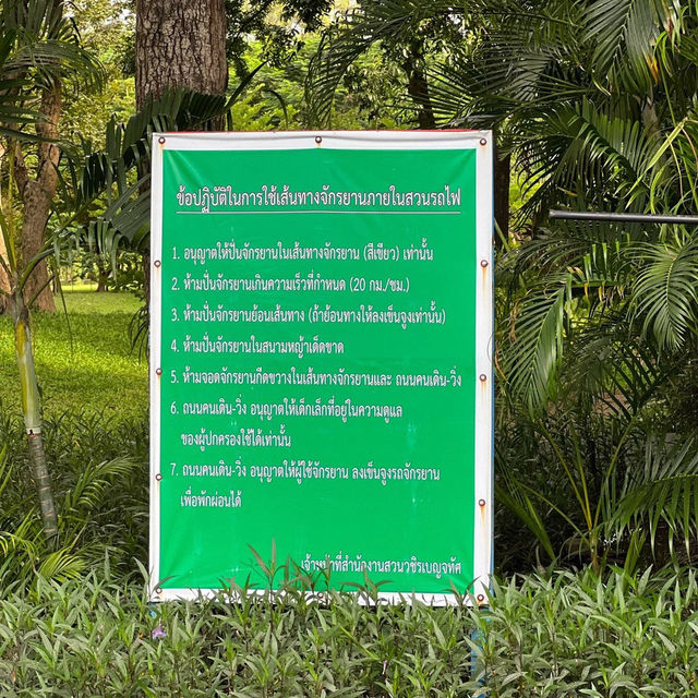 ปั่นจักรยานชมชมพูพันธุ์ทิพย์ 🚲 