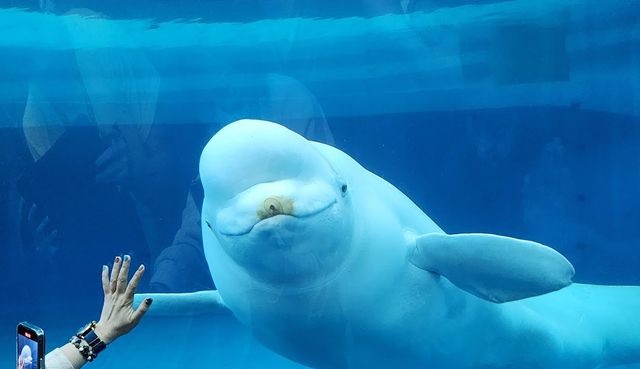 由台灣男友告訴你七件關於台灣海洋生物博物館的事💁🏻‍♂️