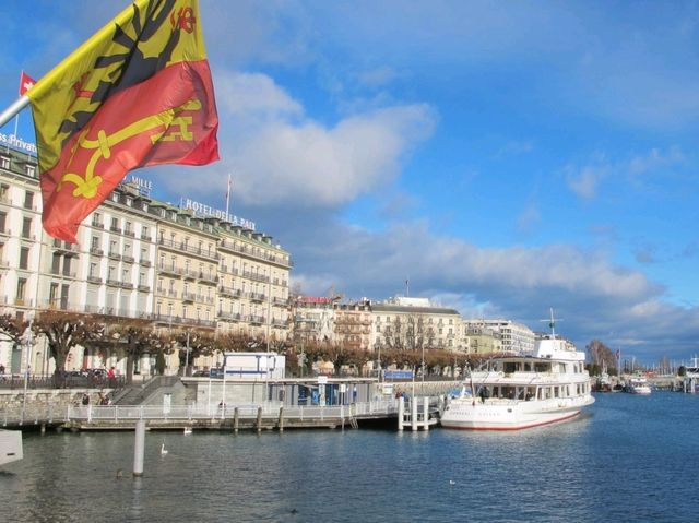 The Elegance of Lake Geneva: Where Swans Meet Sky-High Jet d'Eau