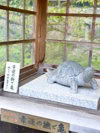 【京都府】京都で最古の神社