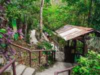 Bohol Tarsier Conservation Area