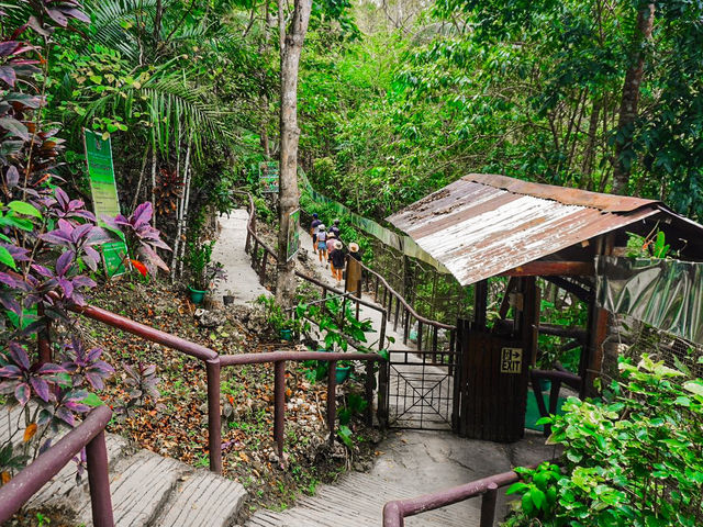 Bohol Tarsier Conservation Area