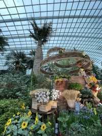 🇸🇬Join the Carnival of Flowers in Flower Dome Singapore ! 