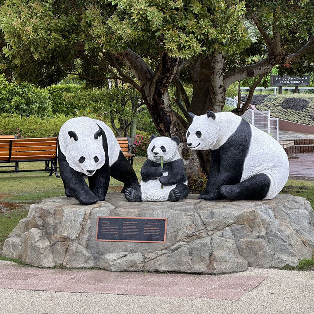 萌動時光｜在白濱冒險大世界邂逅熊貓與海豚的奇妙旅程