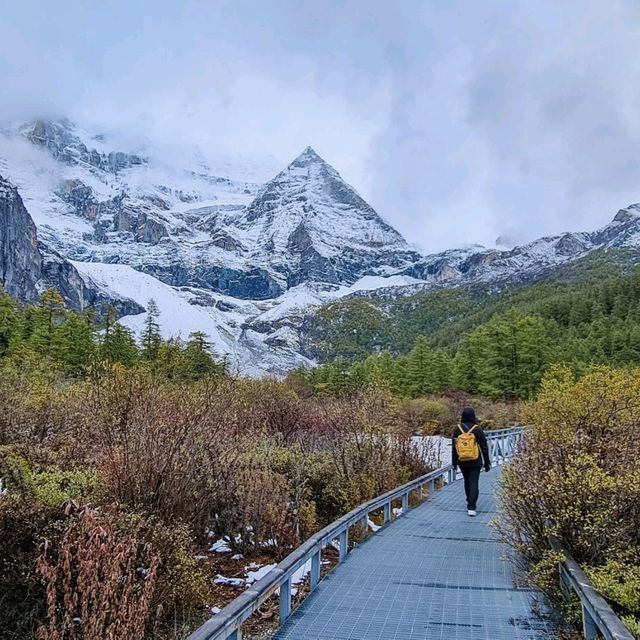 Lost in yading