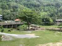 บ้านคีรีวง 