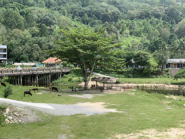 บ้านคีรีวง 