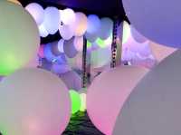 福岡TeamLab 森林-以森林為主題的沉浸式藝術展覧