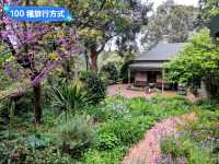墨爾本賞花-南半球百花綻放的皇家植物園