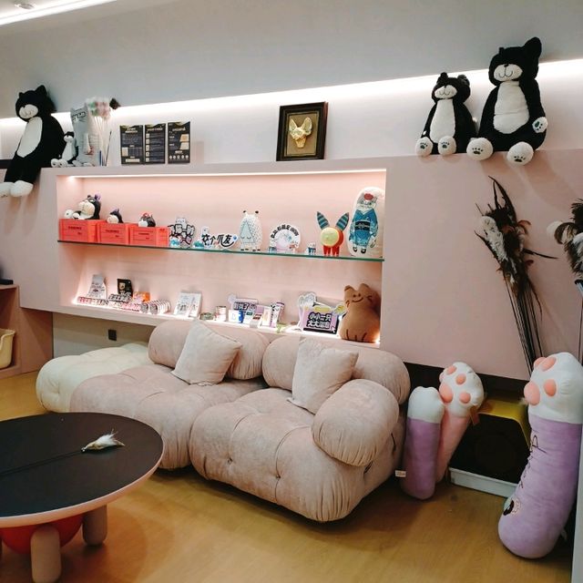深圳灣超治癒貓Cafe😍