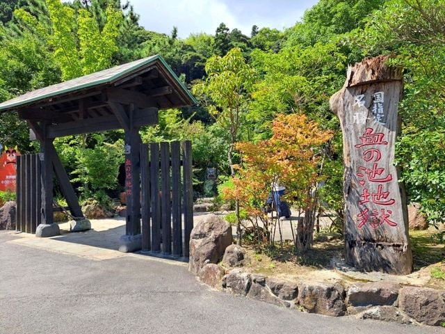 【血の池地獄:大分県別府市】真っ赤でまるで本当の地獄？！