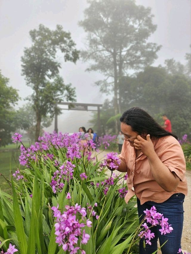 หมู่บ้านอีต่อง เหมืองปิล็อก