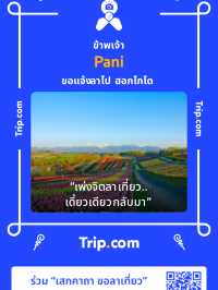 25 Degrees ร้านเบอร์เกอร์สไตล์อเมริกัน🍔🇺🇸