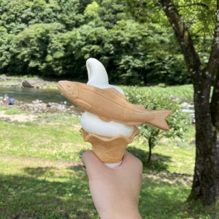 기후 여행