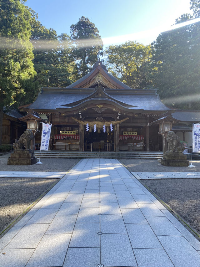 【石川観光】神聖な山岳信仰の地「白山比咩神社」⛩️