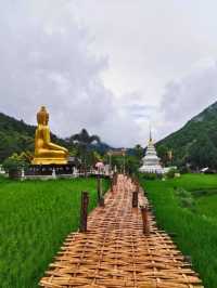 ⭐ หอม คาเฟ่ แพร่ สวรรค์ของคนรักคาเฟ่