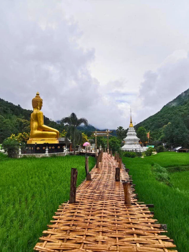 ⭐ หอม คาเฟ่ แพร่ สวรรค์ของคนรักคาเฟ่