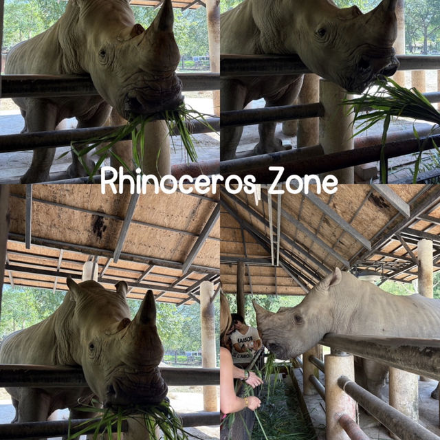 เที่ยวเกาะรีเมอร์ให้อาหารคาปิปาราที่ เขาเขียว