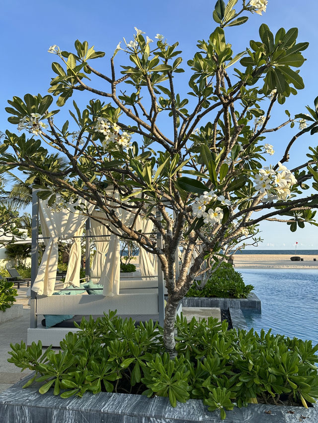 Melia Hồ Tràm, Beach Resort🏡