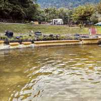 "Outdoor Adventure at Hutan Lipur Ulu Bendul: Hiking, Waterfalls, and More"
