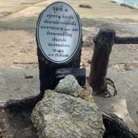สุสานหอย 75 ล้านปี