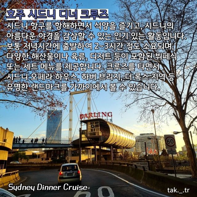 호주 디너 크루즈🇦🇺