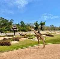 สวนสัตว์เมืองไทย🦒🐘