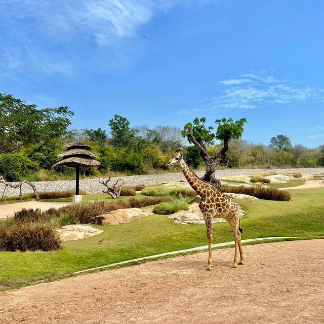 สวนสัตว์เมืองไทย🦒🐘